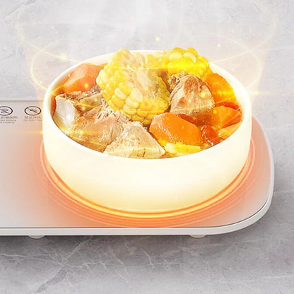 #Electric Warming Tray